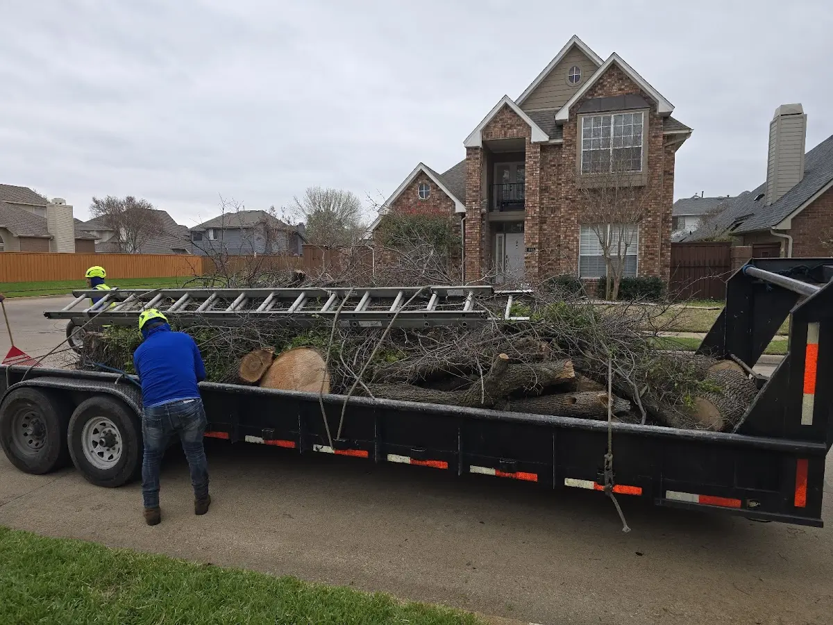 Expert Lot Clearing with proper safety equipment in Parks
